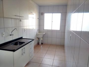 Alugar Apartamento / Padrão em Ponta Grossa. apenas R$ 700,00