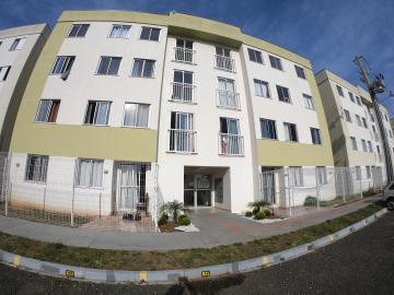 Alugar Apartamento / Padrão em Ponta Grossa. apenas R$ 550,00