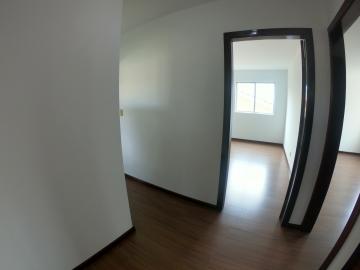 Alugar Apartamento / Padrão em Ponta Grossa R$ 750,00 - Foto 13 Alugar Apartamento / Padrão em Ponta Grossa R$ 750,00 - Foto 13