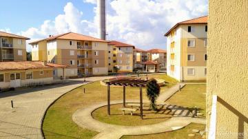 Le Village Pitangui