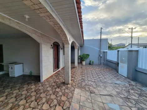 imagem 2 - Casa espaçosa em Uvaranas imagem 2 - Casa espaçosa em Uvaranas