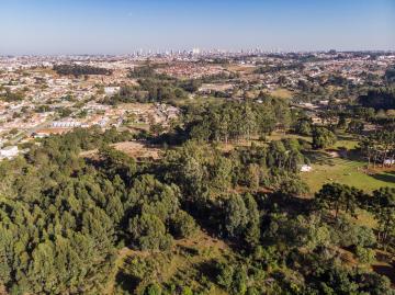 Área verde urbana no bairro de Uvaranas. Uma árvore faz toda diferença!