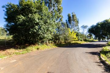 Área verde urbana no bairro de Uvaranas. Uma árvore faz toda diferença!