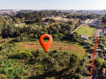 Área verde urbana no bairro de Uvaranas. Uma árvore faz toda diferença!