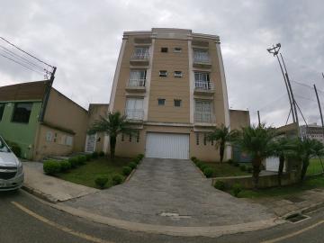 Alugar Apartamento / Padrão em Ponta Grossa. apenas R$ 1.350,00