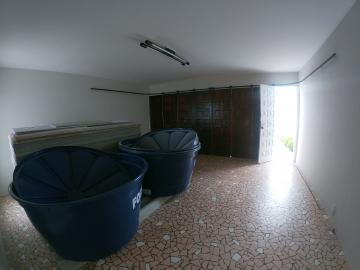 imagem 4 - Comercial - Casa imagem 4 - Comercial - Casa