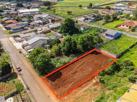 Terreno em Uvaranas - 462m²