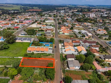 Terreno em Uvaranas - 462m²