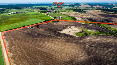 Carambei Tainha Area Venda R$45.000.000,00  Area do terreno 606700.00m2 