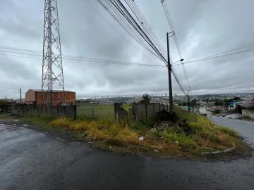 Alugar Terreno / Padrão em Ponta Grossa. apenas R$ 810.000,00