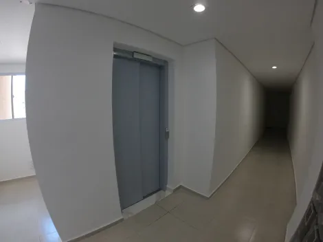 alt=