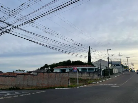 Alugar Terreno / Padrão em Ponta Grossa. apenas R$ 1,11