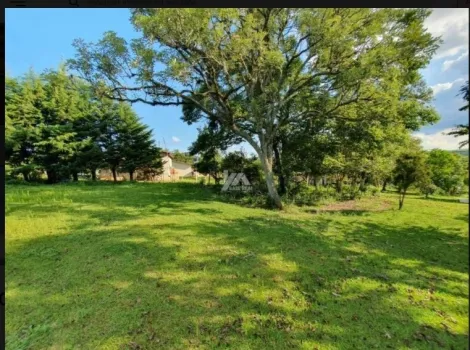 imagem 1 - Rural - Chácara imagem 1 - Rural - Chácara