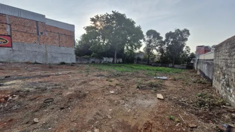 imagem 3 - Terreno em ótima localização em Uvaranas imagem 3 - Terreno em ótima localização em Uvaranas