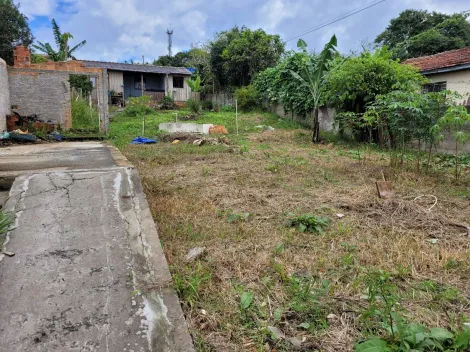 imagem 4 - Terreno no Jardim Carvalho imagem 4 - Terreno no Jardim Carvalho