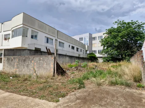 imagem 4 - Terreno Oficinas imagem 4 - Terreno Oficinas