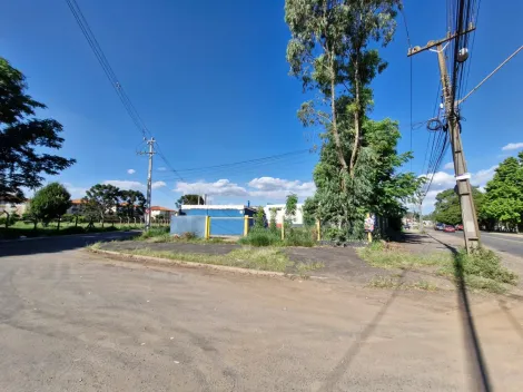 imagem 4 - Imóvel Comercial próximo a UEPG imagem 4 - Imóvel Comercial próximo a UEPG