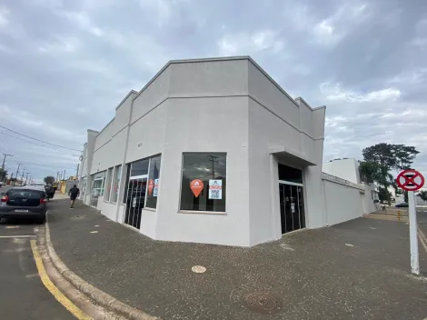 imagem 1 - Ótima loja na região de Oficinas! imagem 1 - Ótima loja na região de Oficinas!