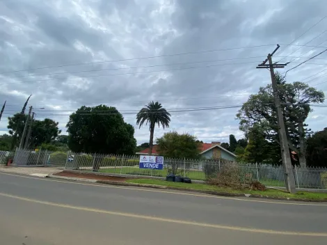 imagem 3 - Casa encantadora em Carambeí! imagem 3 - Casa encantadora em Carambeí!