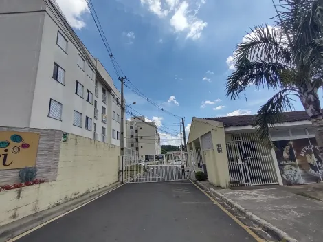 Alugar Apartamento / Padrão em Ponta Grossa. apenas R$ 720,00