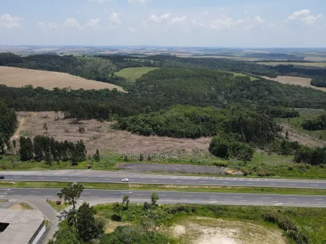 imagem 2 - Área com 9,11 alqueires imagem 2 - Área com 9,11 alqueires