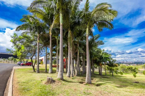 Alugar Terreno / Condomínio em Ponta Grossa. apenas R$ 255.000,00