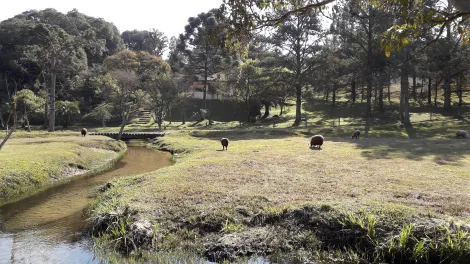 imagem 1 - Área em Itaiacoca imagem 1 - Área em Itaiacoca