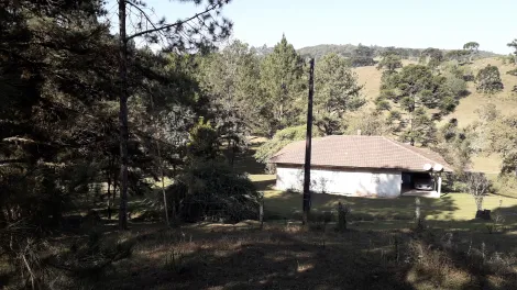 imagem 4 - Área em Itaiacoca imagem 4 - Área em Itaiacoca