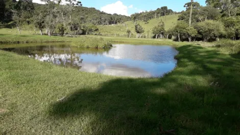 imagem 2 - Área em Itaiacoca imagem 2 - Área em Itaiacoca