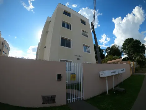 Alugar Apartamento / Padrão em Ponta Grossa. apenas R$ 650,00