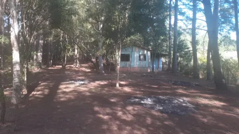 imagem 1 - Chácara á venda Uvaia imagem 1 - Chácara á venda Uvaia