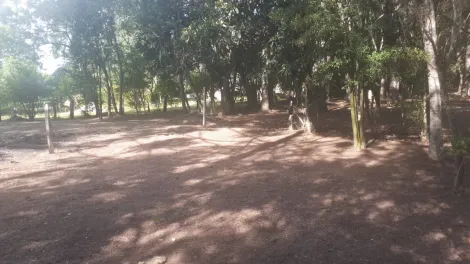 imagem 2 - Chácara á venda Uvaia imagem 2 - Chácara á venda Uvaia