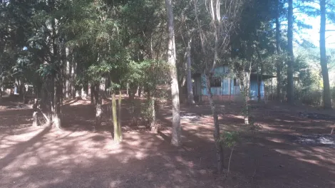 imagem 3 - Chácara á venda Uvaia imagem 3 - Chácara á venda Uvaia