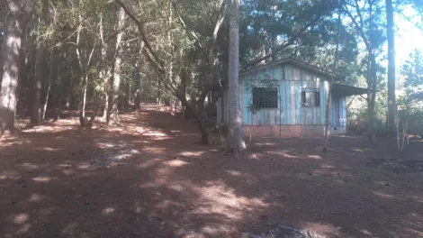 imagem 4 - Chácara á venda Uvaia imagem 4 - Chácara á venda Uvaia