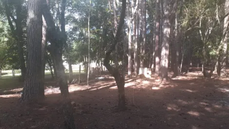 imagem 5 - Chácara á venda Uvaia imagem 5 - Chácara á venda Uvaia