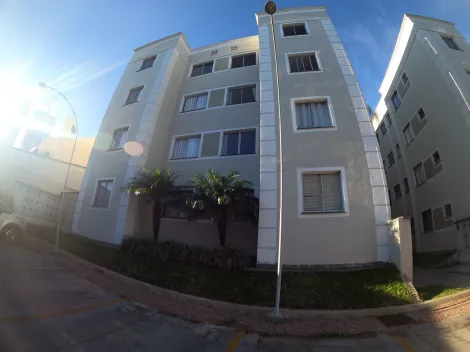 Ponta Grossa - Oficinas - Apartamento - Padrão - Locaçao