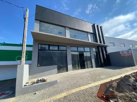 Alugar Comercial / Loja em Ponta Grossa. apenas R$ 15.000,00