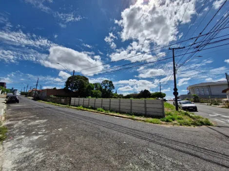 imagem 2 - Barracão Órfãs imagem 2 - Barracão Órfãs
