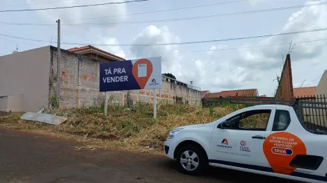 imagem 1 - lote de terreno Vila Estrela imagem 1 - lote de terreno Vila Estrela