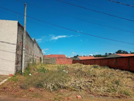 imagem 4 - lote de terreno Vila Estrela imagem 4 - lote de terreno Vila Estrela