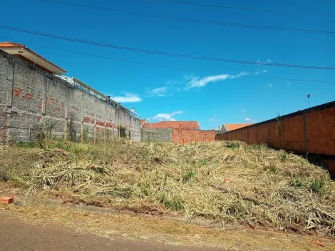 imagem 2 - lote de terreno Vila Estrela imagem 2 - lote de terreno Vila Estrela