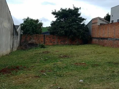 imagem 5 - Terreno - Padrão imagem 5 - Terreno - Padrão