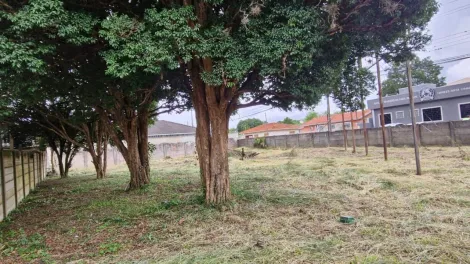 imagem 5 - Terreno Construção Mediante negociação imagem 5 - Terreno Construção Mediante negociação