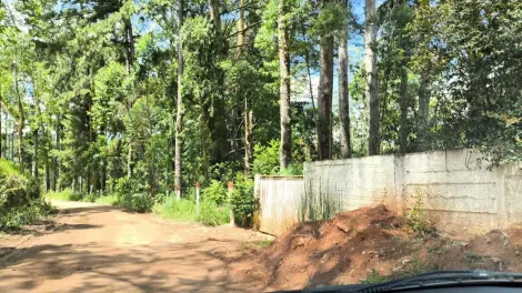 imagem 3 - Terreno no Alagados imagem 3 - Terreno no Alagados