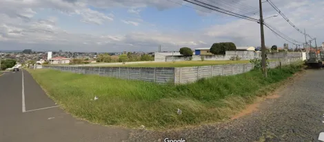 imagem 1 - Terreno para Locação Jardim Carvalho imagem 1 - Terreno para Locação Jardim Carvalho