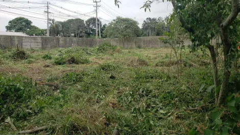 imagem 3 - Terreno  na Vila Vendrami imagem 3 - Terreno  na Vila Vendrami