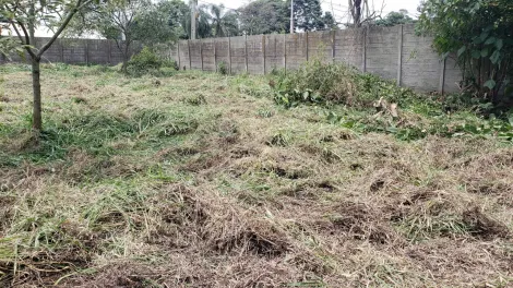 imagem 4 - Terreno  na Vila Vendrami imagem 4 - Terreno  na Vila Vendrami