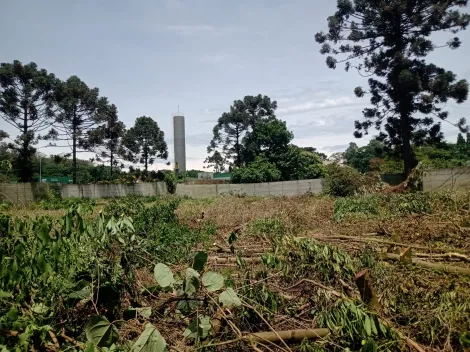 imagem 5 - Terreno  na Vila Vendrami imagem 5 - Terreno  na Vila Vendrami