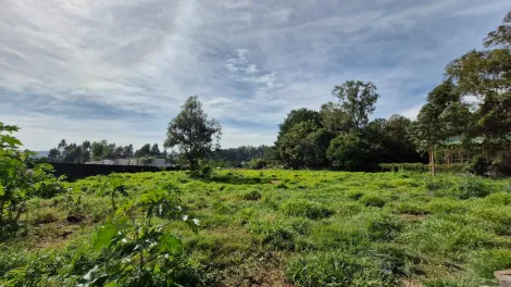 imagem 2 - Terreno - Padrão imagem 2 - Terreno - Padrão