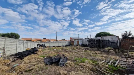 imagem 2 - Barracão com terreno imagem 2 - Barracão com terreno